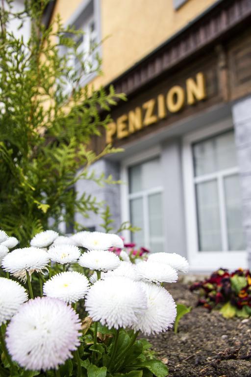 Penzion 43 Bor Dış mekan fotoğraf